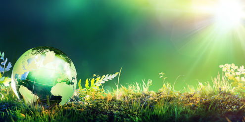 L'utilizzo dei purificatori d'acqua diminuisce l'utilizzo della plastca e favorisce un miglioramento ambientale