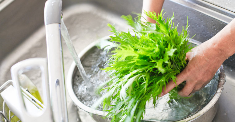 pulire il cibo con gli addolcitori per un acqua senza calcare