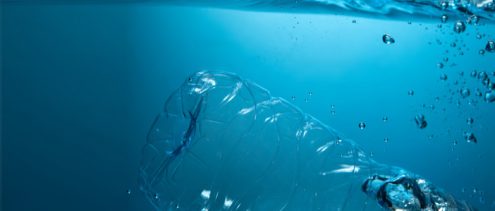 tracce di plastica nelle bottiglie di plastica