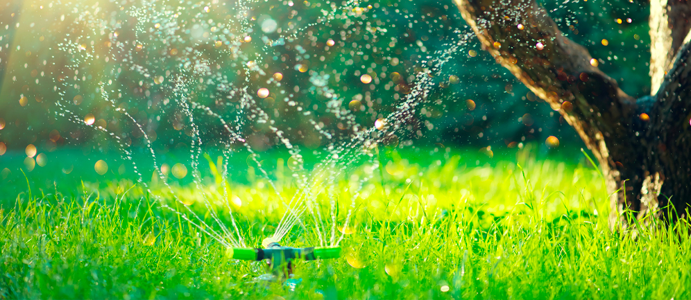 consumo medio di acqua per innaffiare il prato e il giardino