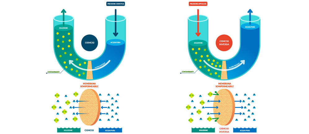 La differenza tra osmosi naturale e osmosi inversa