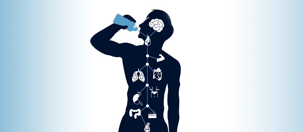 la percentuale di acqua presente nel corpo umano