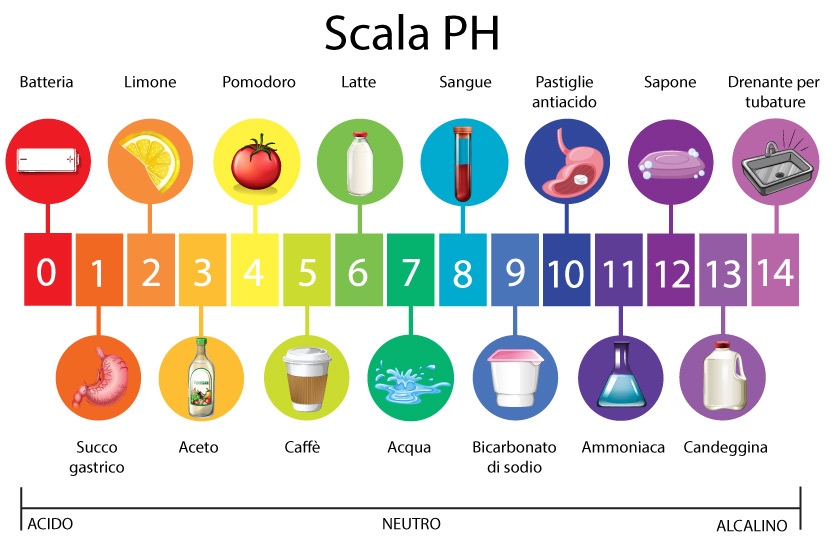 infografica del valore del ph, acido, neutro e alcalino
