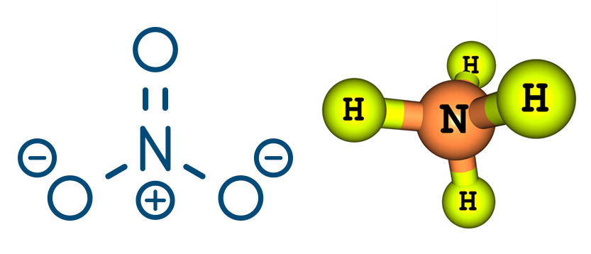 azoto ammoniacale la molecola