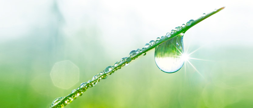 Distributori acqua per un ambiente più pulito