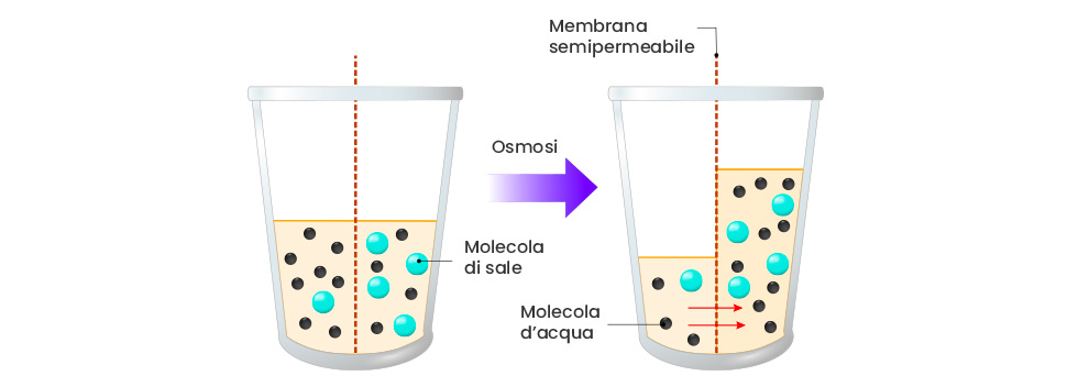 come funziona l'osmosi per avere acqua osmotica