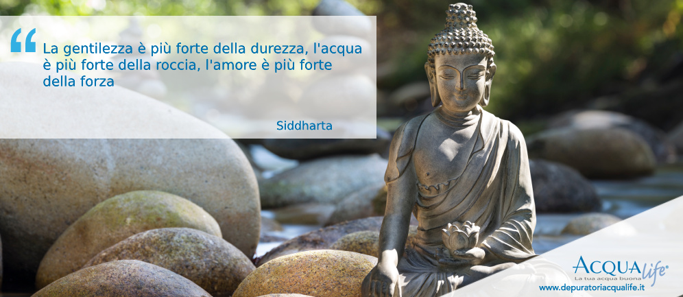 Frasi sull'acqua di Siddharta