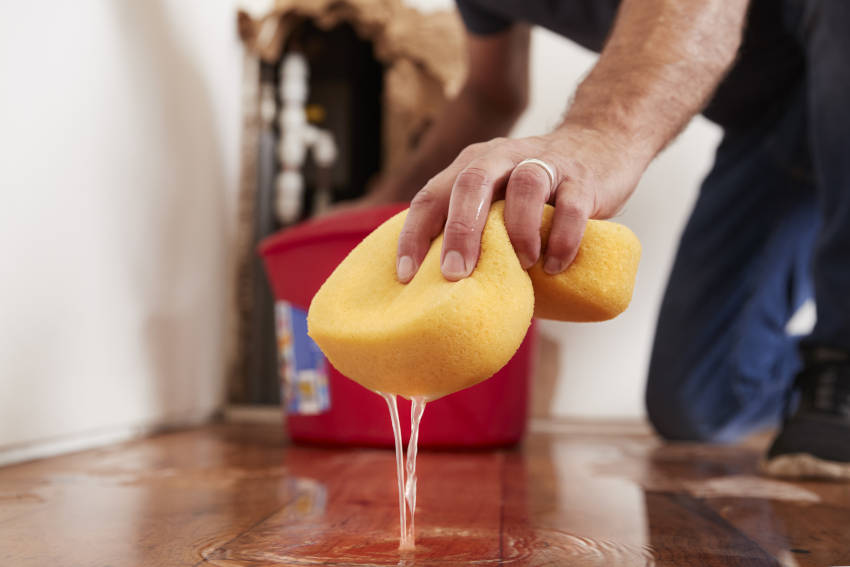 perdite d'acqua si o no depuratori domestici