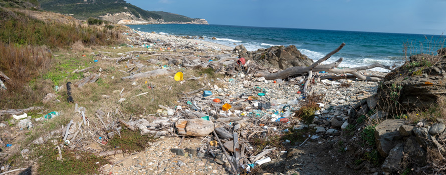 inquinamento del mar mediterraneo