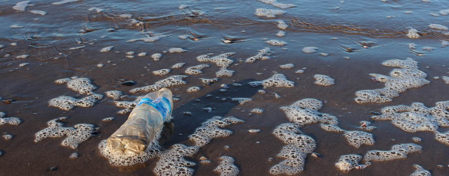 Mare Tirreno inquinamento spiagge