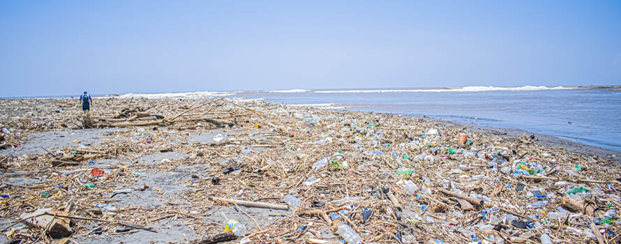 Rischi della plastica nel mare Tirreno