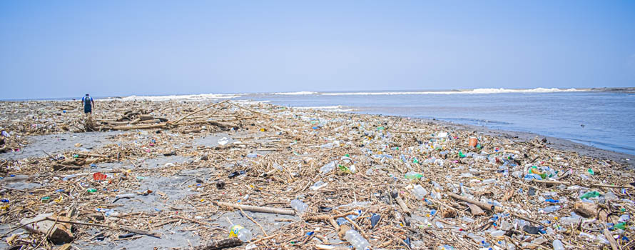 Rischi della plastica nel mare Tirreno