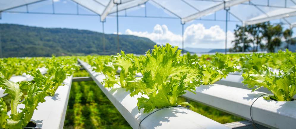 acqua leggera e pura per l'agricoltura