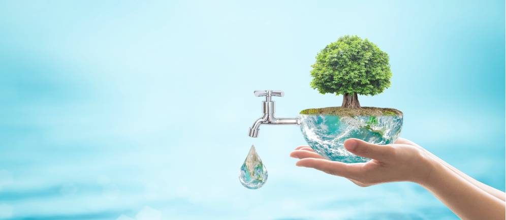 Le caratteristiche di acqua potabile: qualità e purezza. Blog