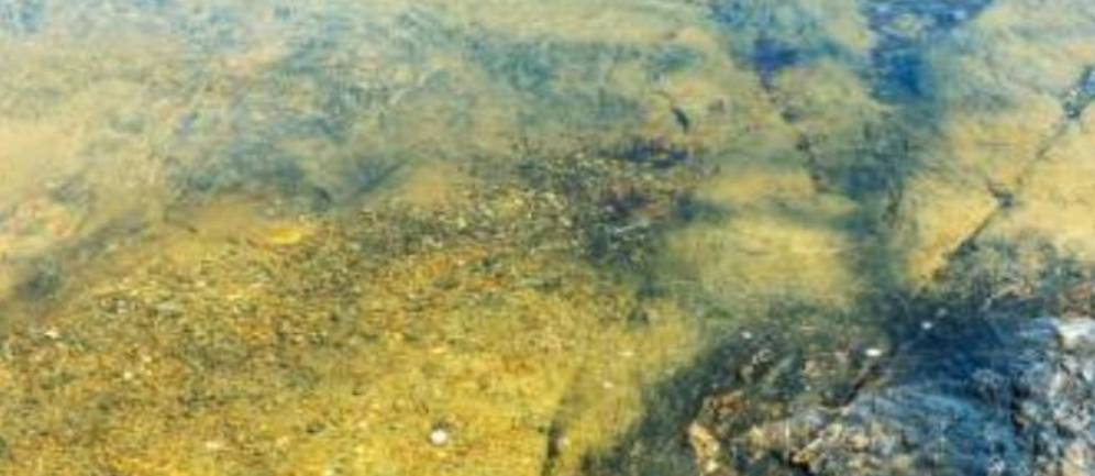 acqua grezza