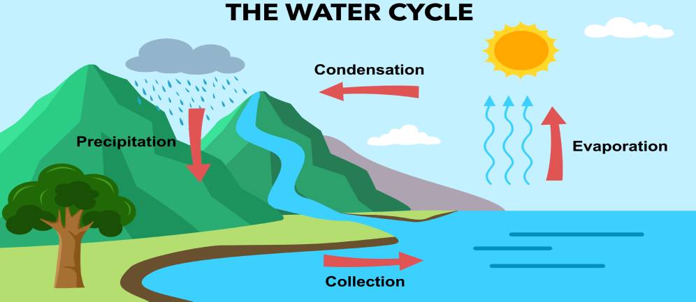 il ciclo dell'acqua 