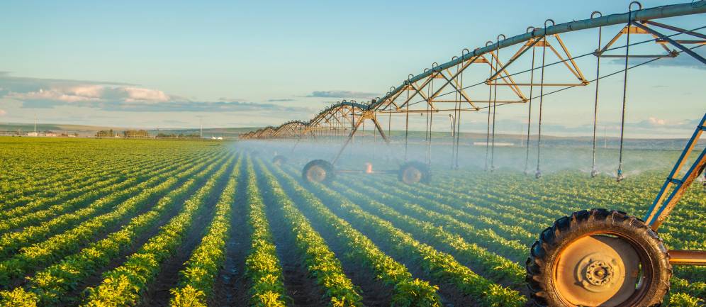 irrigazione dei campi e spreco dell'acqua