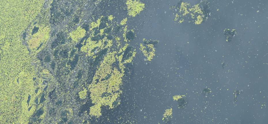 condizioni di utilizzo della pellicola solare condizioni di utilizzo della pellicola solare